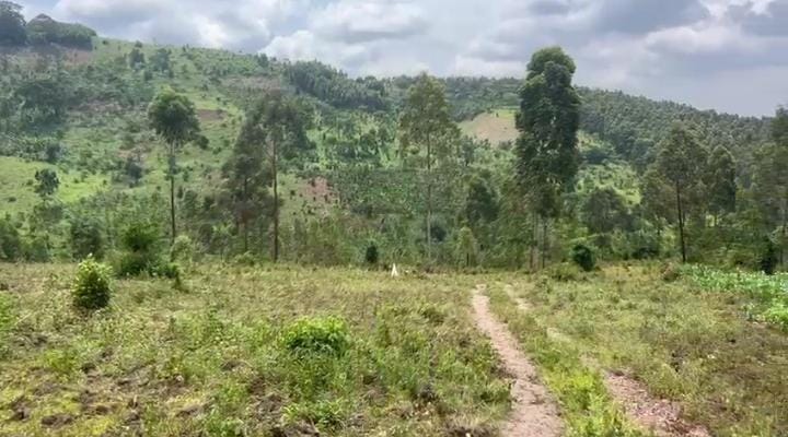 Land for sell